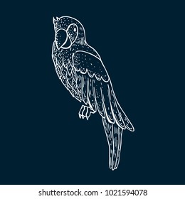 Engraving chalk parrot icon vector illustration for pirate party