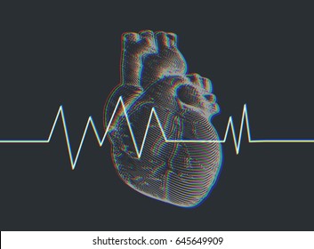 Engraving chromatic abberation human heart illustration on dark background with heart rate pulse graph