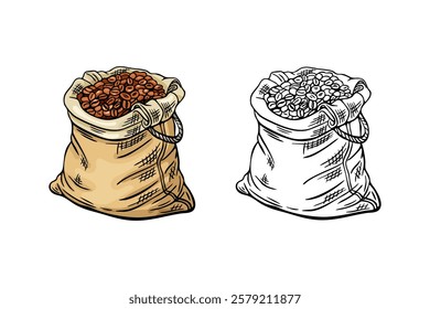 Engraving, coffee bean bag, vector illustration in color and line sketch