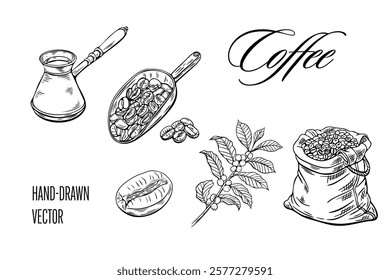 Engraving, coffee sketch, vector illustration linear. Package with coffee, beans, branch, coffee turk