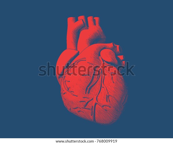 Dessin D Engrenage Coeur Humain En Couleur Image Vectorielle De Stock Libre De Droits