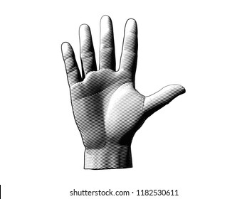 Engraving drawing human palm hand illustration isolated on white background