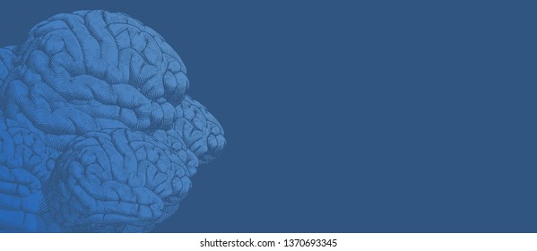 Engraving drawing of many human brains in human head form illustration on deep blue background with blank space