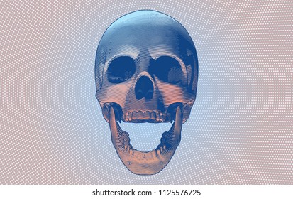 Engraving drawing skull open mouth with bottom lighting isolated on pink and blue color tone retro background