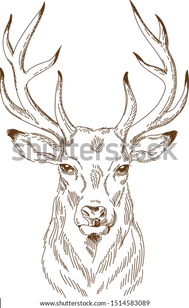 Engraving Drawing Vektor Deer Stock Vector (royalty Free) 1514583089