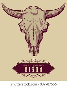 Engraving European Bison Skull