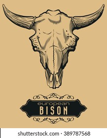 Engraving European Bison Skull