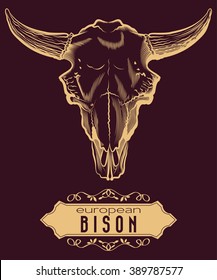 Engraving European Bison Skull