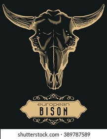 Engraving European Bison Skull