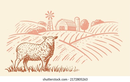 Engraving farm sheep. Farming landscape with barn