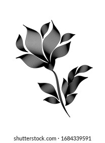 Engraving flower on a white background. Hand drawing vector illustration. Design for vintage packaging.