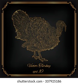 Engraving gold vector turkey. Isolated on black background.