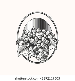 vector de ilustración del logotipo de uva de engrase