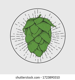 engraving green hop logo hand draw vector illustration