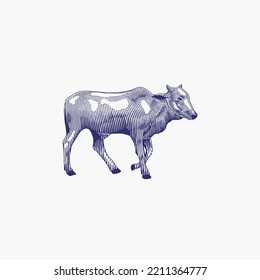 vectores de vaca de dibujo manual de grabado
