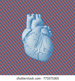 Engraving human heart with blue flow line art stroke on illusion red blue stripe background