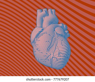 Engraving human heart with blue flow line art stroke on illusion red curve stripe background