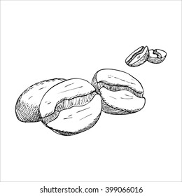 Engraving illustration of some coffee beans isolated on white background