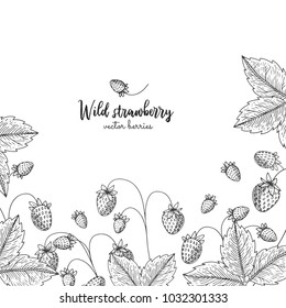 Engraving illustration with wild strawberries. Detailed frame with berries. Hand drawn elements for invitations, greeting cards, wrapping paper, cosmetics packaging, labels, tags, posters etc