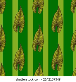 Engraving leaf araceae seamless pattern. Vintage leaves background. Repeated texture in hand drawn style for fabric, wrapping paper, wallpaper, tissue. Vector illustration.