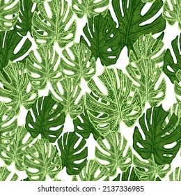 Engraving leaf monstera seamless pattern. Vintage leaves background. Repeated texture in hand drawn style for fabric, wrapping paper, wallpaper, tissue. Vector illustration.