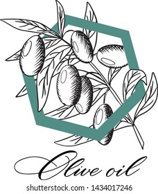 Engraving logo. Olive branch drawing. Organic food design. You can change the name