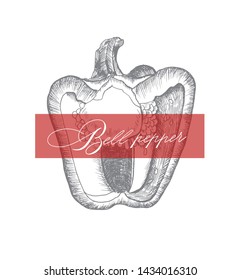 Engraving logo. Sweet pepper vegetables drawing. Organic food design. You can change the name