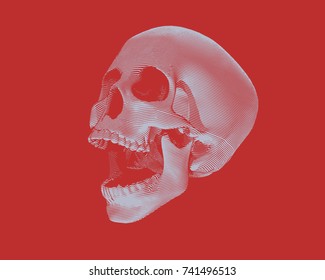 Engraving monochrome perspective view skull illustration screaming on red background