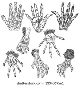 Engraving monster hand set, zombie, werewolf, dragon or vampire palm hands with long nails in attack gesture. Vector. 