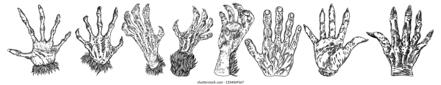 Engraving monster hand set, zombie, werewolf, dragon or vampire palm hands with long nails in attack gesture. Vector. 