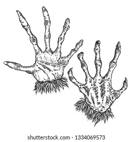 Engraving monster hand set, zombie, werewolf, dragon or vampire palm hands with long nails in attack gesture. Vector. 