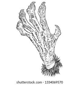 Engraving monster hand, zombie, werewolf, dragon or vampire palm hand with long nails in attack gesture. Vector. 