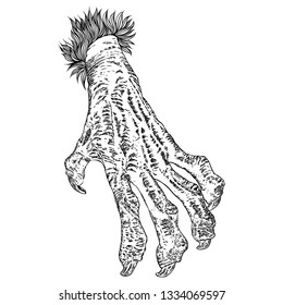 Engraving monster hand, zombie, werewolf, dragon or vampire palm hand with long nails in attack gesture. Vector. 