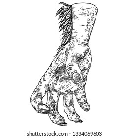 Engraving monster hand, zombie, werewolf, dragon or vampire palm hand with long nails in attack gesture. Vector. 