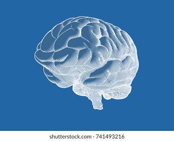 Engraving negative brain in oblique perspective view isolated on blue background