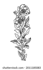 Engraving plant. Vintage style. Traditional art tattoos. Blackwork. Isolated vector flower