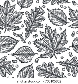 Engraving seamless pattern of leaves and berries. Detailed hand drawn autumn background.