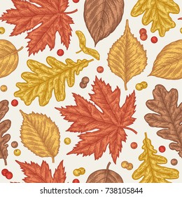 Engraving seamless pattern of leaves and berries. Detailed hand drawn autumn background.