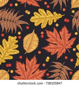 Engraving seamless pattern of leaves and berries. Detailed hand drawn autumn background.