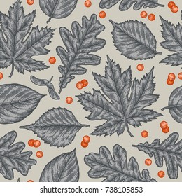 Engraving seamless pattern of leaves and berries. Detailed hand drawn autumn background.