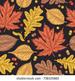 Engraving seamless pattern of leaves and berries. Detailed hand drawn autumn background.