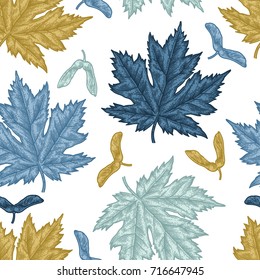 Engraving seamless pattern of maple leaves and seeds. Vintage botany decor. Illustration for textiles, gift packaging, paper, interior design, cover, wallpaper, curtains.