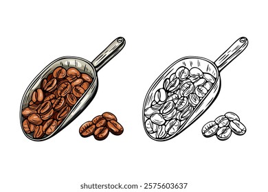 Engraving, spatula with coffee beans, vector illustration in color and line sketch