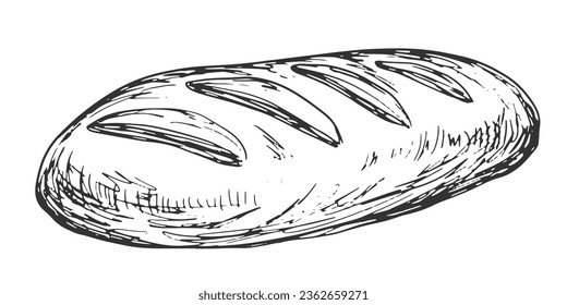 Engraving style bread. Sketch style bakery. Hand drawn black and white loaf of bread with hatching