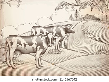 Engraving style dairy cattle and farmland background design Engraving style dairy cattle and farmland background design