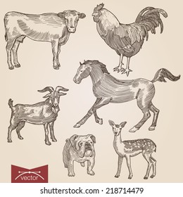 Engraving style pen pencil crosshatch hatching paper painting retro vintage vector lineart illustration domestic farm animals pets set. Goat and cow, horse, bulldog, lamb and rooster.