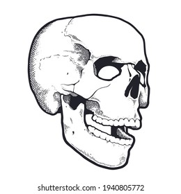 Engraving Style Skull With Open Mouth. Black and white vector illustration of skull side view. Vector object isolated on white.