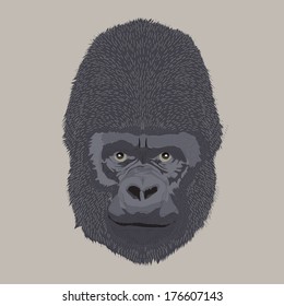 engraving style vector hand drawing gorilla head