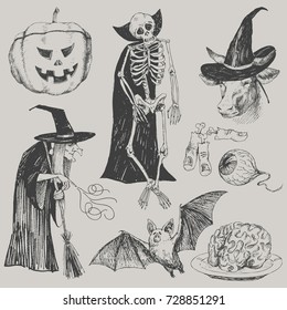 Engraving style. Vector illustration for party. Set of isolated drawings of scary thing. Pumpkin, witch, enchanted cow, skeleton, eye, fingers, bones, brain bat Halloween concept