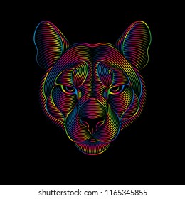 Engraving of stylized puma on black background in spectrum colors. Linear drawing. Portrait of a puma. Psychedelic.